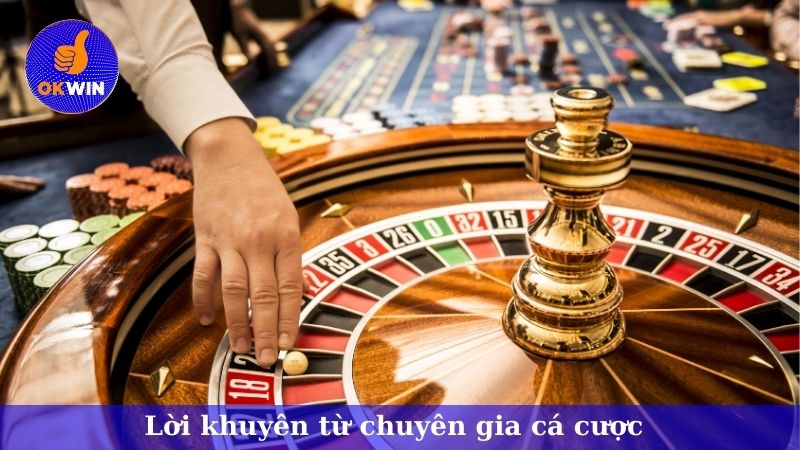 Lời khuyên từ chuyên gia hàng đầu trong cá cược