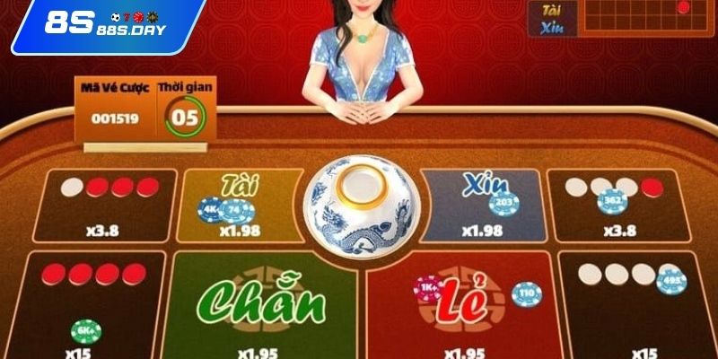 Cảm nhận niềm vui gắn kết trong trò chơi xóc đĩa